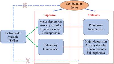 Mental illness and pulmonary tuberculosis: a bidirectional two-sample Mendelian randomization study